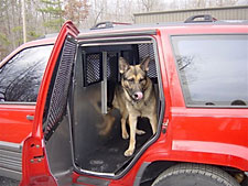 K-9 Unit with dog